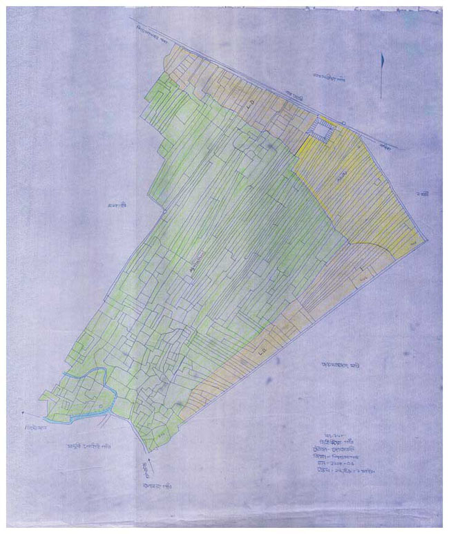 Dihingia Gaon Land Use Plan Map